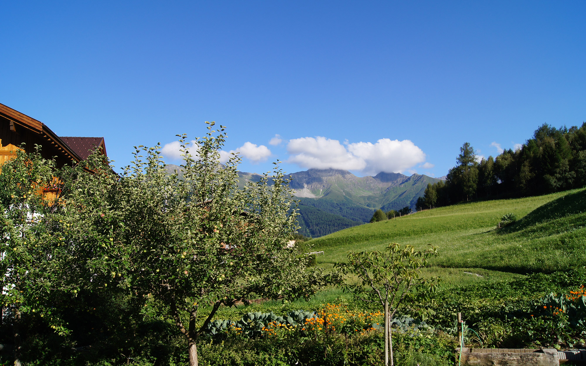 Alpenzeit "Herzstück" - Garten